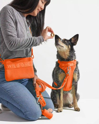 Treat Pouch