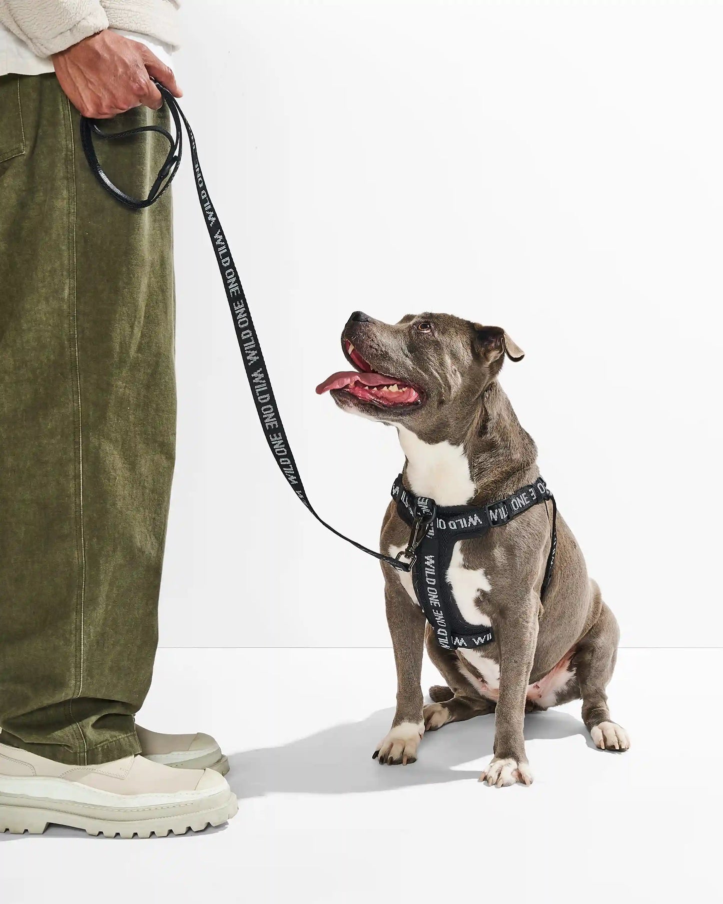 Lightweight Dog Leash