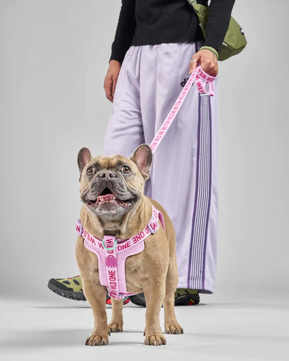 Step-In Dog Harness