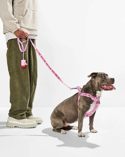 Step-In Harness + Lightweight Leash Walk Kit