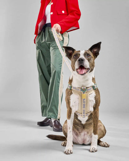 Step-In Dog Harness