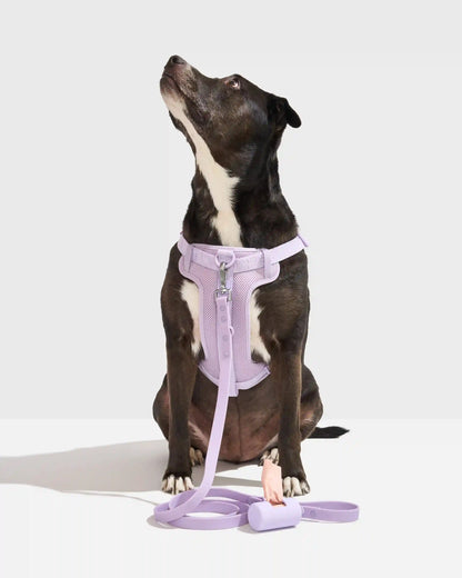 Step-In Harness + Waterproof Leash Walk Kit