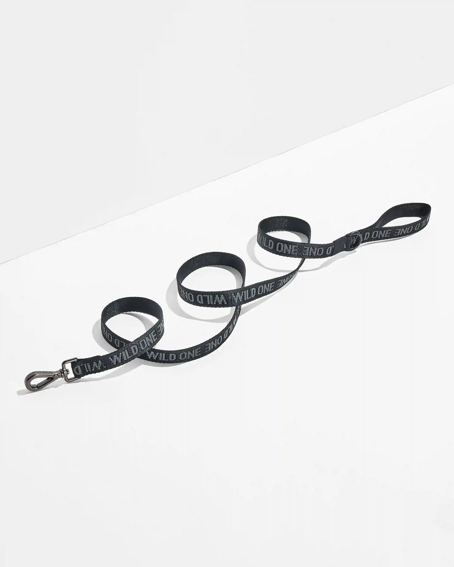 Lightweight Dog Leash
