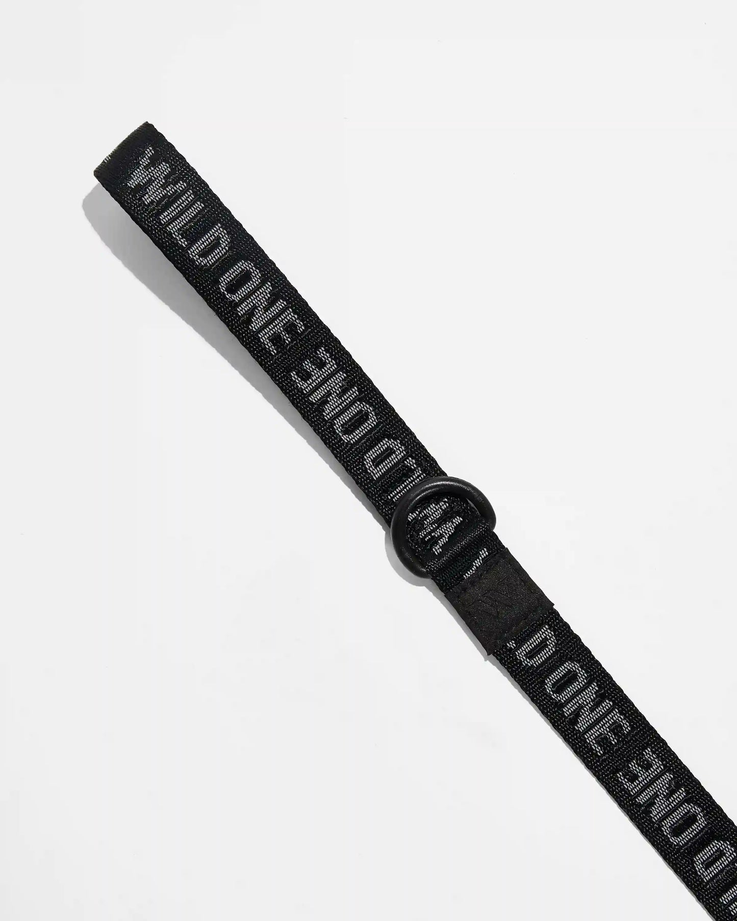 Lightweight Dog Leash