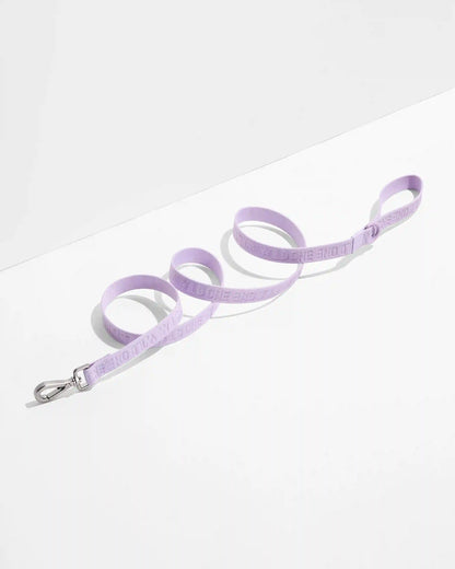 Quick-Release Collar + Lightweight Leash Walk Kit