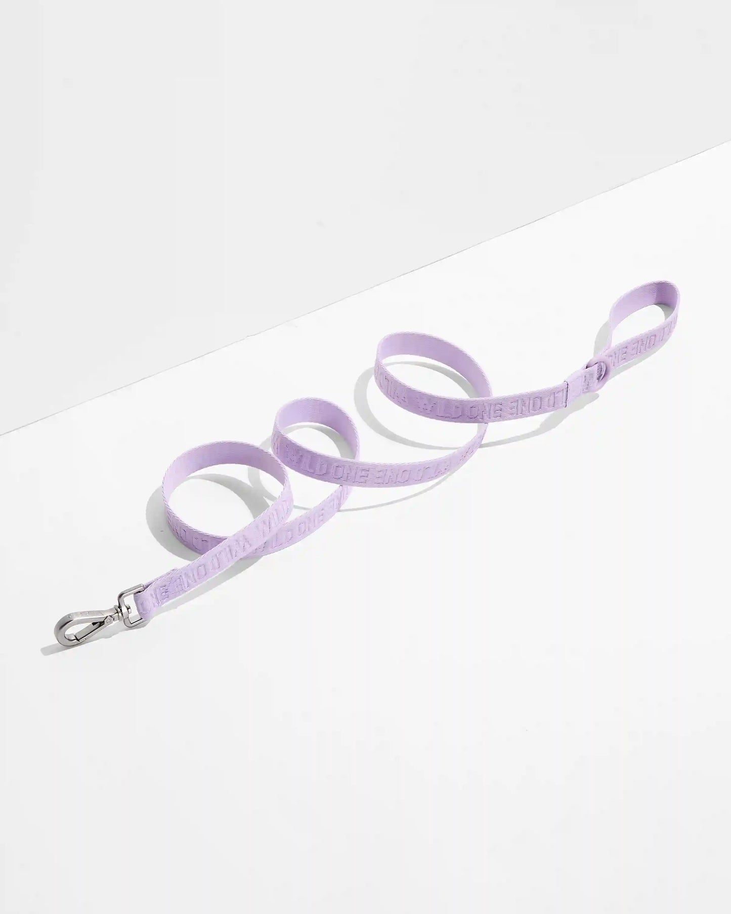Lightweight Dog Leash