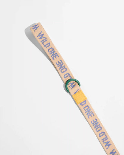 Lightweight Dog Leash
